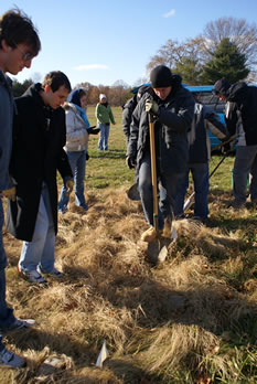 Group in the Field