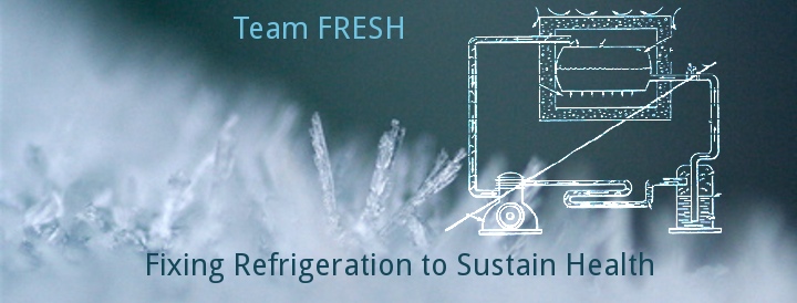 Fixing Refrigeration Efficiency to Sustain Health